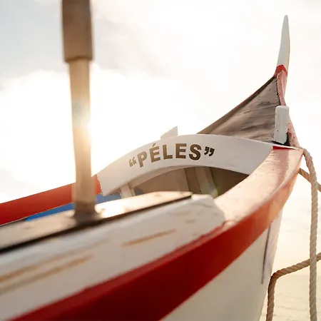 Shellter By The Sea Lejlighed