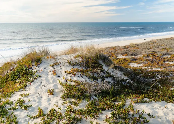 Shellter By The Sea Vieira de Leiria